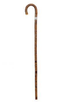GCWS-Bark Elm-SLB-Full