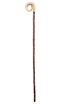 CS-Full Rams Horn on Blackthorn-Full